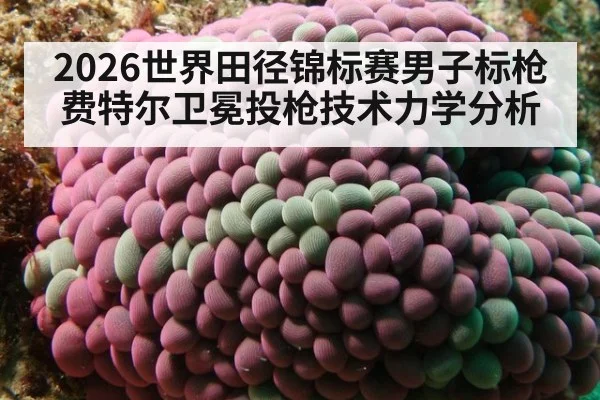 2026世界田径锦标赛男子标枪费特尔卫冕投枪技术力学分析