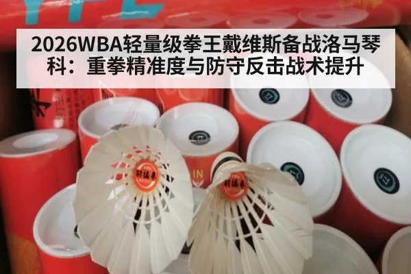 2026WBA轻量级拳王戴维斯备战洛马琴科：重拳精准度与防守反击战术提升 - jiuyou game