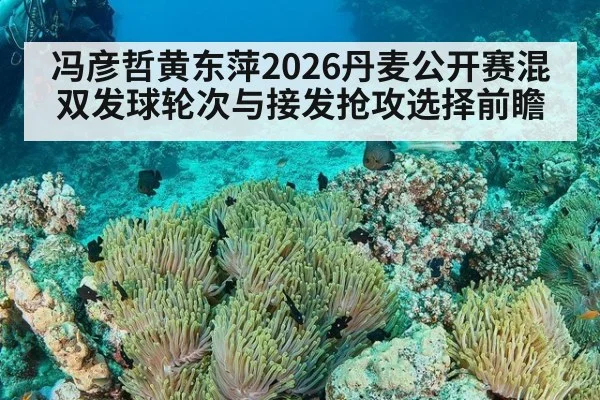 冯彦哲黄东萍2026丹麦公开赛混双发球轮次与接发抢攻选择前瞻